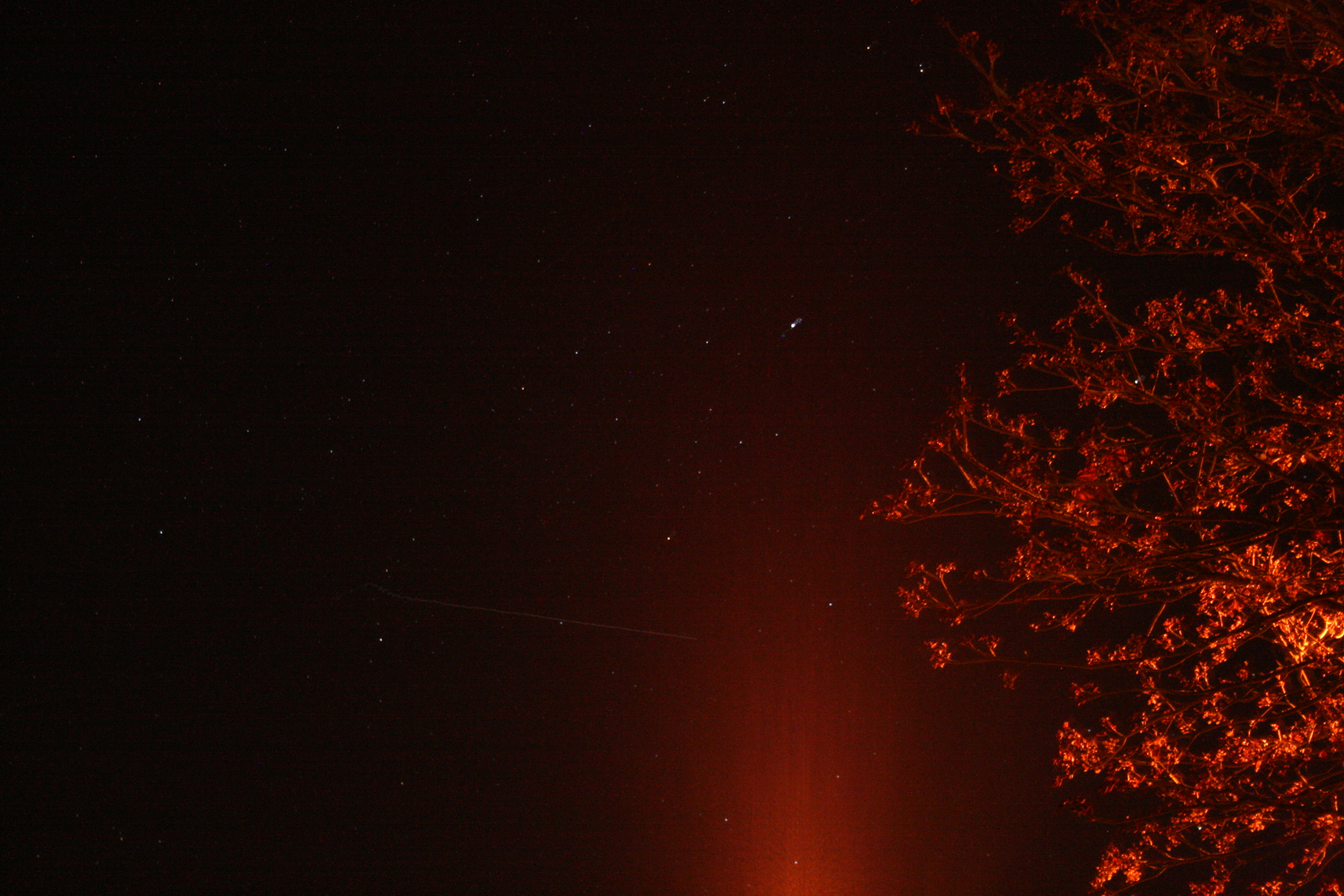 Photo credit: Andy Smith