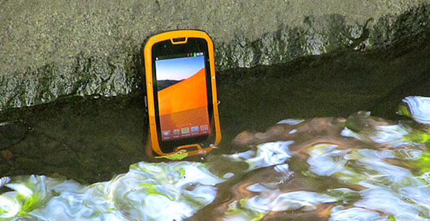 The Cedar Tree CT4 handheld.