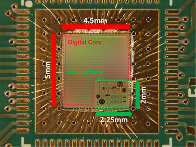 Figure 5. NAPA chip.