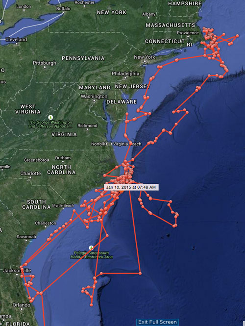 Katharine’s cruising over the past year.