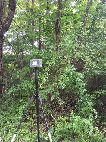 A TRIUMPH-LS collecting a point under tree canopy.