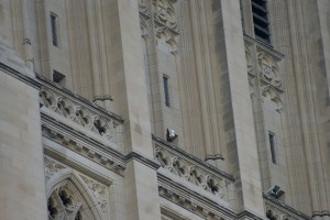 Source: GPS world staff