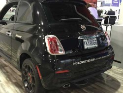 (Photos by Bethany Chambers)