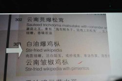 Wikipedia. China. Photo: Bethany Chambers