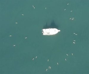 This screenshot from an Aquabotix video shows the swarm returning to base. (Image: Aquabotix)