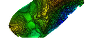 Bare earth classified surface of small site. (Image: Lidar USA)
