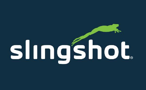 Logo: Raven Slingshot
