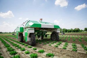 The vegetable weeding robot Dino — shown here operating in Yuma, Arizona — uses a Septentrio GNSS receiver. (Photo: Septentrio/Naio Technologies)