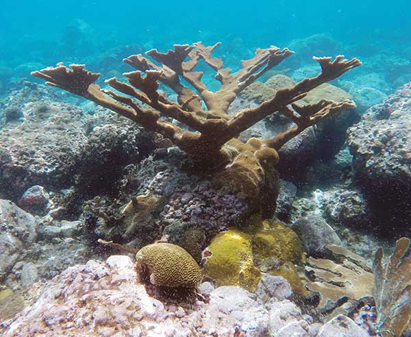 Image: TNC and Tama Group