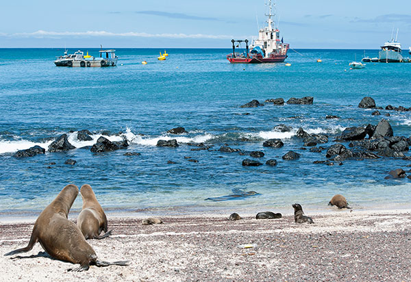 Photo: pilesasmiles/iStock/Getty Images Plus/Getty Images
