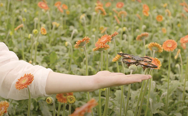 Screenshot: PATS Indoor Drone Solutions video