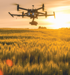 Photo: SimonSkafar_E+_Getty Images