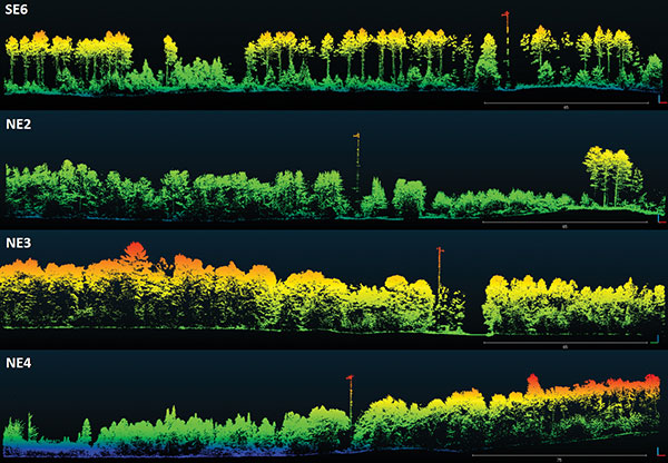 Visualization of dominant tree structures in Northern Wisconsin around the flux towers. (Image: Routescene)