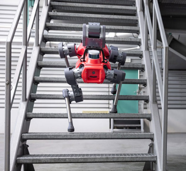 The ANYmal climbs stairs. (photo: ANYbotics)