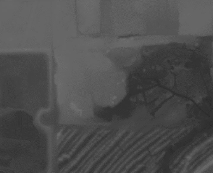 Figure 2. Lidar points are converted to a raster providing a bare-earth representation of the landscape. (Image: Stephanie Clark)