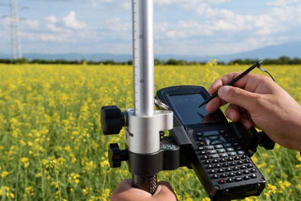 Photo: payamona / iStock / Getty Images Plus / Getty Images