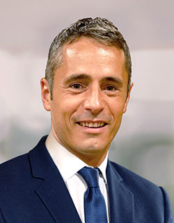 Paolo Guglielmini, Hexagon