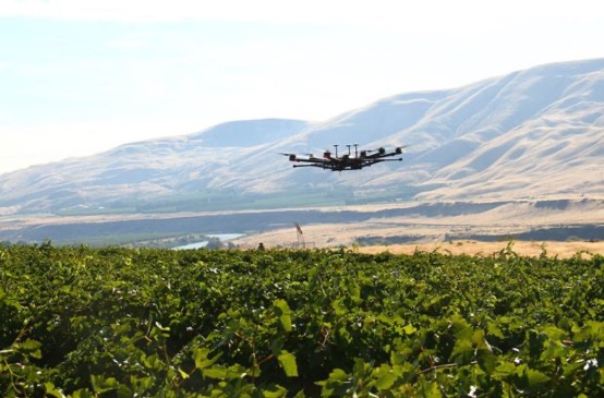 Manually flown drone flies over vineyard (Photo: WSU Agricultural Automation and Robotics Lab)