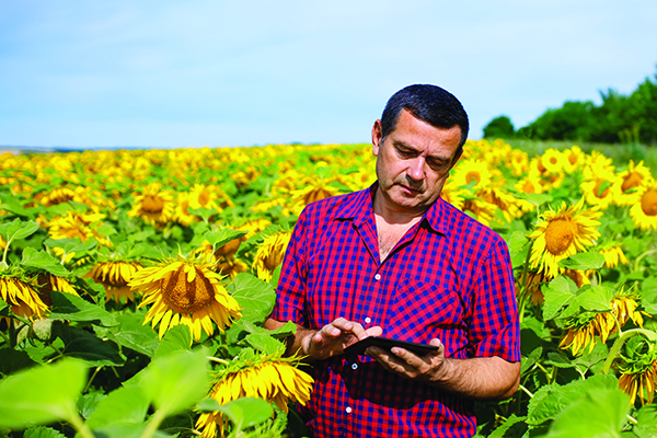Photo: Alter_photo/iStock/Getty Images Plus/Getty Images