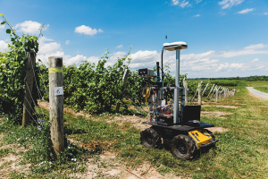 (Image: Allison Usavage/Cornell University)