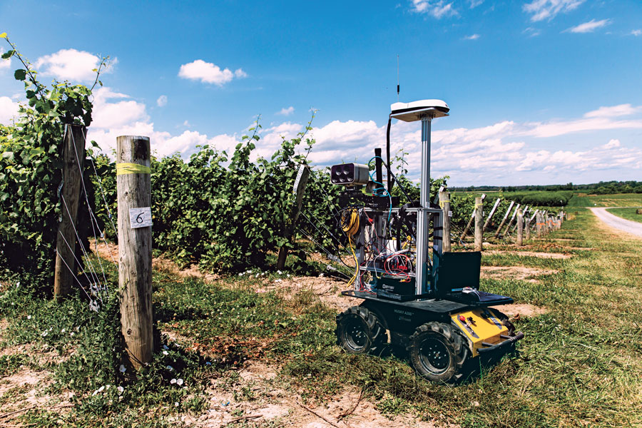 One of a small army of PhytoPatholoBots (PPB) developed by Cornell University and deployed to four grape breeding programs across the United States. These autonomous robots will roll through vineyards, using computer vision to gather data on the physiological state of each grapevine. They use a NovAtel SMART antenna. (Image: Allison Usavage / Cornell University)