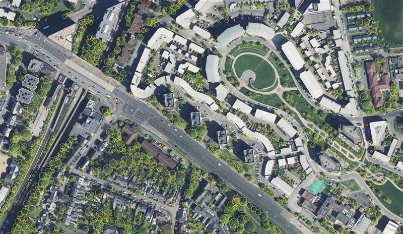 Image: Bluesky International