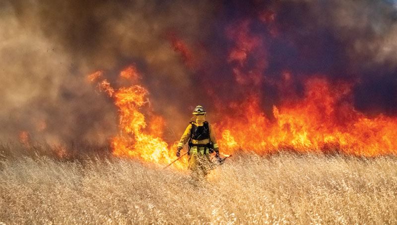 Image: Kara Capaldo/iStock/Getty Images Plus/Getty Images