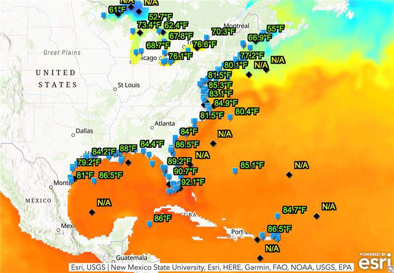 This map provides water temperatures globally. The blue-green colors represent cooler temperatures whereas yellow-orange colors represent hot temperatures. (Image: NOAA)