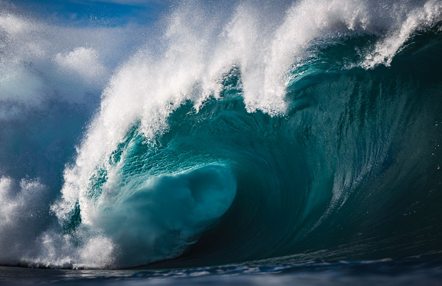 Image: Philip Thurston/E+/Getty Images