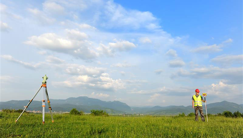 Image: stock_colors:E+:Getty Images