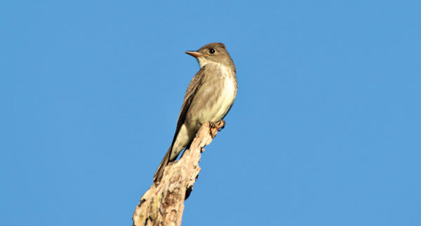 Image: YiBaoTY/iStock/Getty Images Plus/Getty Images