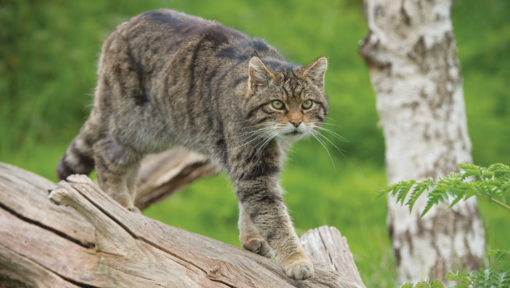 Photo: davemhuntphotography/iStock/Getty Images Plus/Getty Images