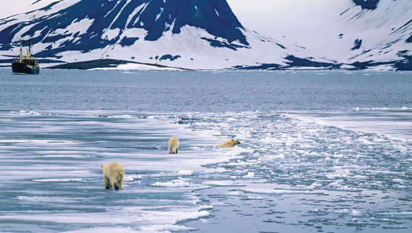 Image: TT / iStock / Getty Images Plus / Getty Images