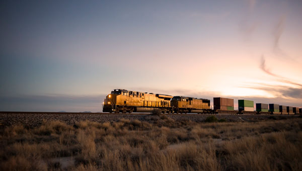 Image: kojihirano/ iStock / Getty Images Plus/ Getty Images