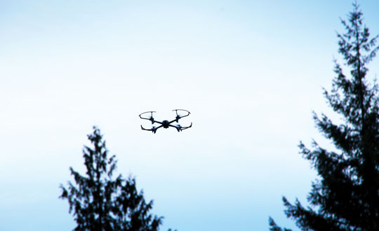 Photo: ChristinaFelsing / iStock / Getty Images Plus / Getty Images