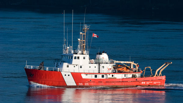 Credit: cullenphotos / iStock / Getty Images Plus / Getty Images