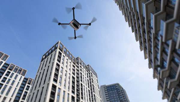 Photo: aerogondo / iStock / Getty Images Plus / Getty Images