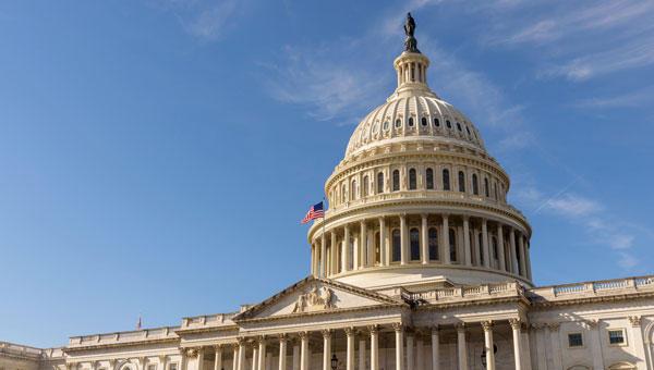 Photo: YayaErnst / iStock / Getty Images Plus / Getty Images