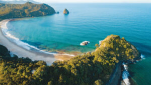 Photo: nazar_ab / E+ / Getty Images