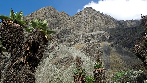 Photo: guenterguni / E+ / Getty Image