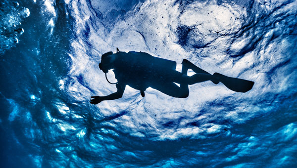 Credit: Placebo365 / E+ / Getty Images