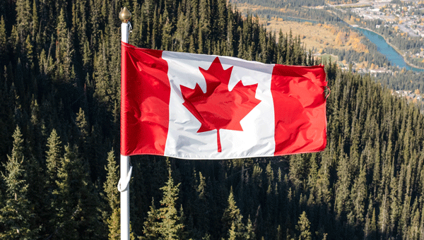 Credit: Alla Gnidenko / iStock / Getty Images Plus / Getty Images