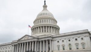 Photo: surangaw / iStock / Getty Images Plus / Getty Images