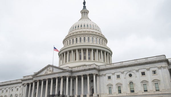 Photo: surangaw / iStock / Getty Images Plus / Getty Images