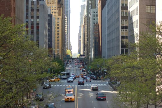 Photo: dbrooksNY, Wikimedia Commons, CC BY 2.0