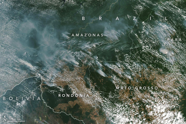 A satellite view of the Amazon wildfire on Aug. 13. (NASA Earth Observatory images by Lauren Dauphin, using MODIS data from NASA EOSDIS/LANCE and GIBS/Worldview and VIIRS data from NASA EOSDIS/LANCE and GIBS/Worldview, and the Suomi National Polar-orbiting Partnership.)