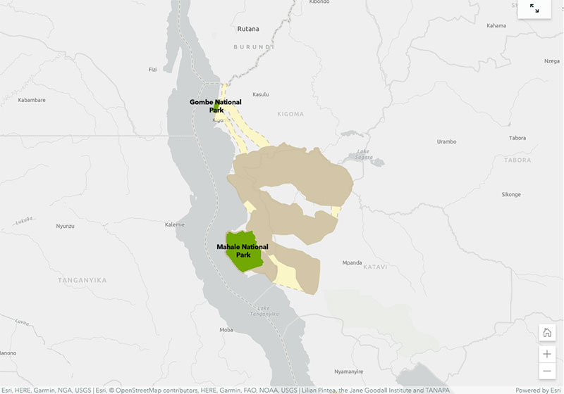 The StoryMap features a map showing where chimpanzees live in Tanzania. (Photo: Esri, HERE, GARMIN, USGS | Esri © OpenStreetMap contributors, HERE, Garmin, FAO, NOAA, USGS | Lilian Pintea, the Jane Goodall Institute and TANAPA)