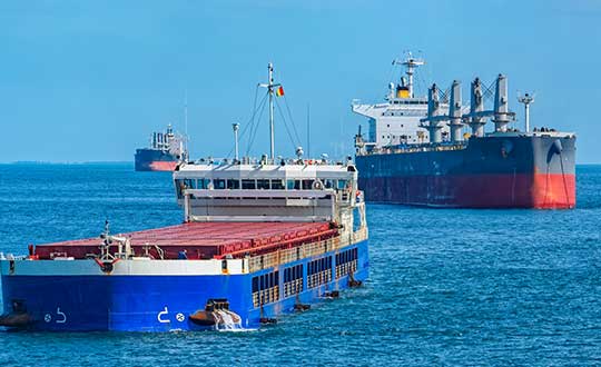 Photo: Igor Grochev/Shutterstock.com