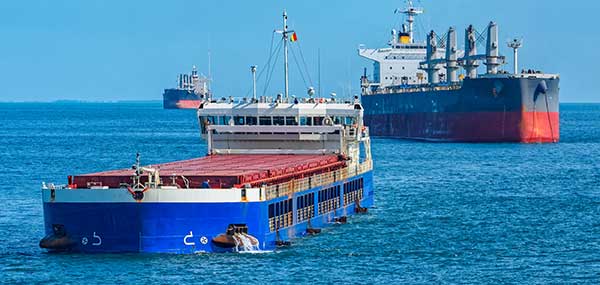 Photo: Igor Grochev/Shutterstock.com