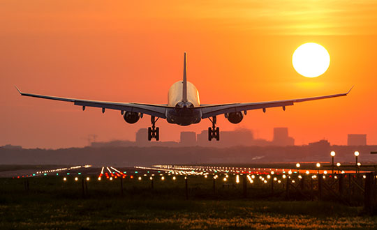 Photo: Nieuwland Photography/Shutterstock